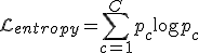 \mathcal{L}_{entropy} = \sum_{c=1}^C p_c \log p_c