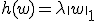 h(w) = \lambda \|w\|_1